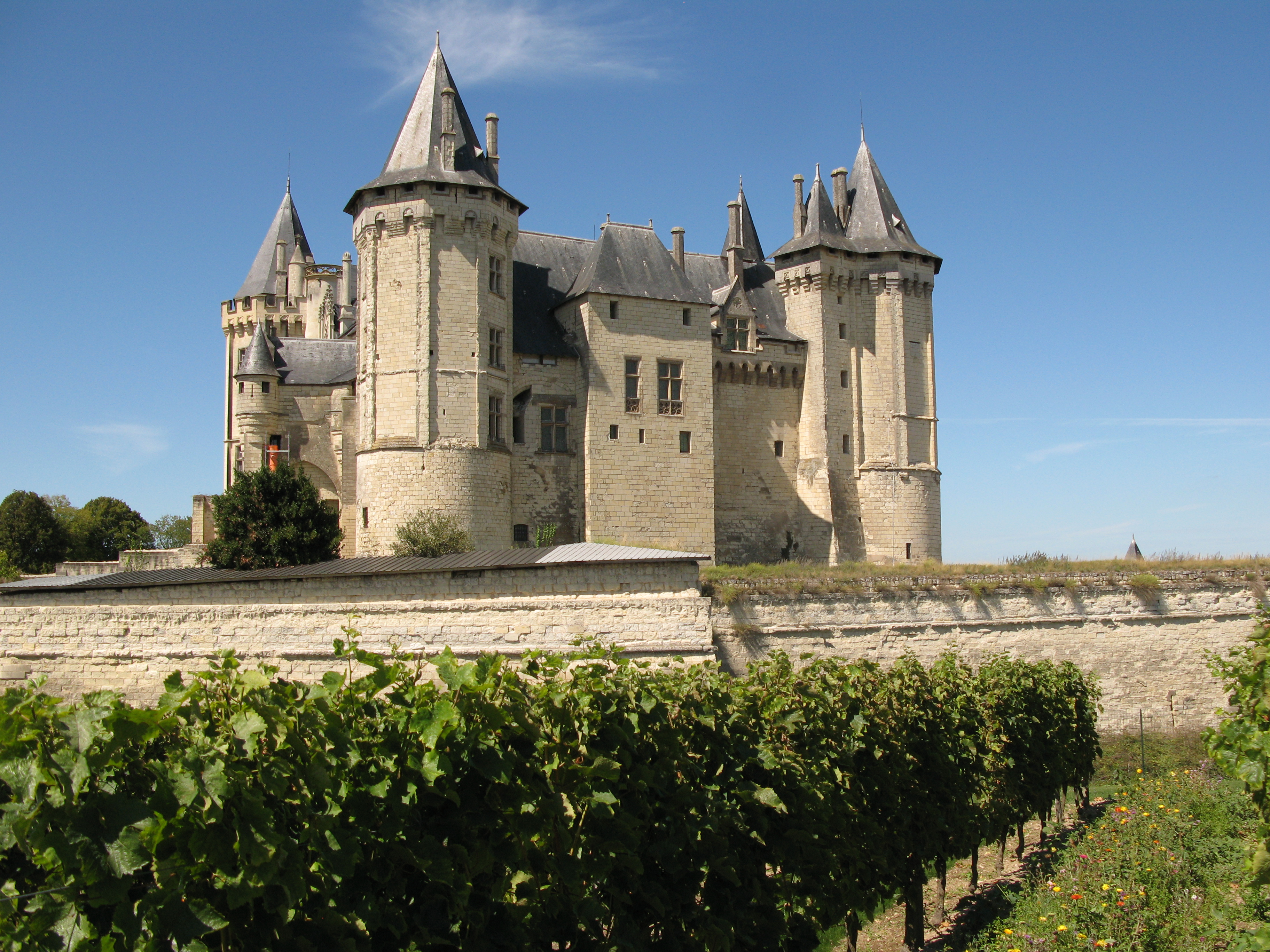 Château De Saumur #8
