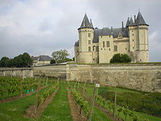 Château De Saumur #12