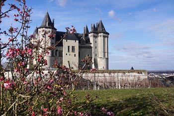 Château De Saumur #22