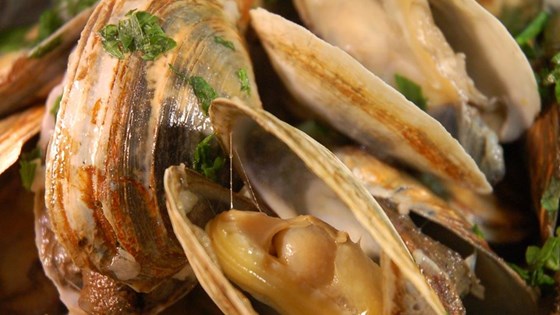 Clams Pics, Food Collection