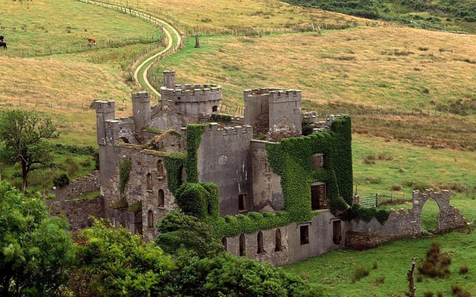 Clifden Castle #1