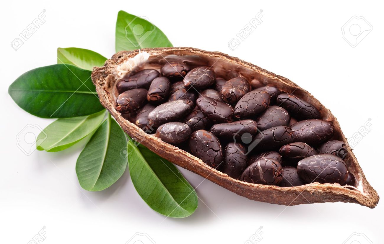 Amazing Cocoa Bean Pictures & Backgrounds