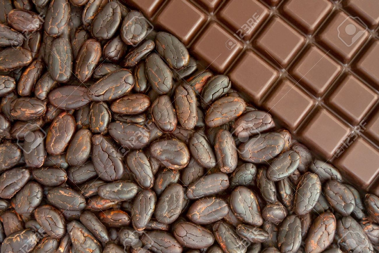 Cocoa Bean Backgrounds, Compatible - PC, Mobile, Gadgets| 1300x866 px