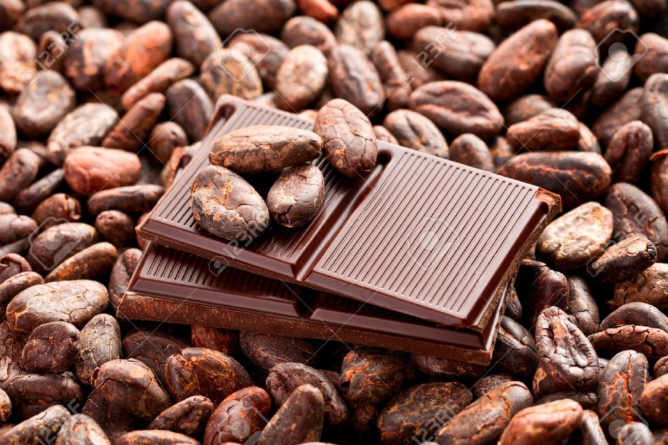 Images of Cocoa Bean | 1300x866