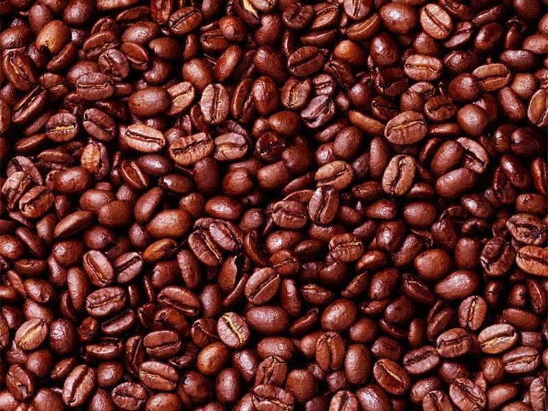 Nice wallpapers Cocoa Bean 800x600px