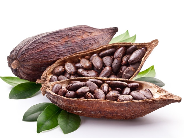 Cocoa Bean Backgrounds on Wallpapers Vista