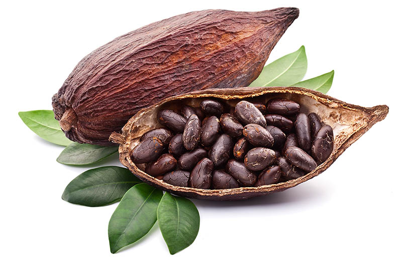 Nice Images Collection: Cocoa Bean Desktop Wallpapers
