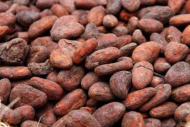 Cocoa Bean Backgrounds on Wallpapers Vista