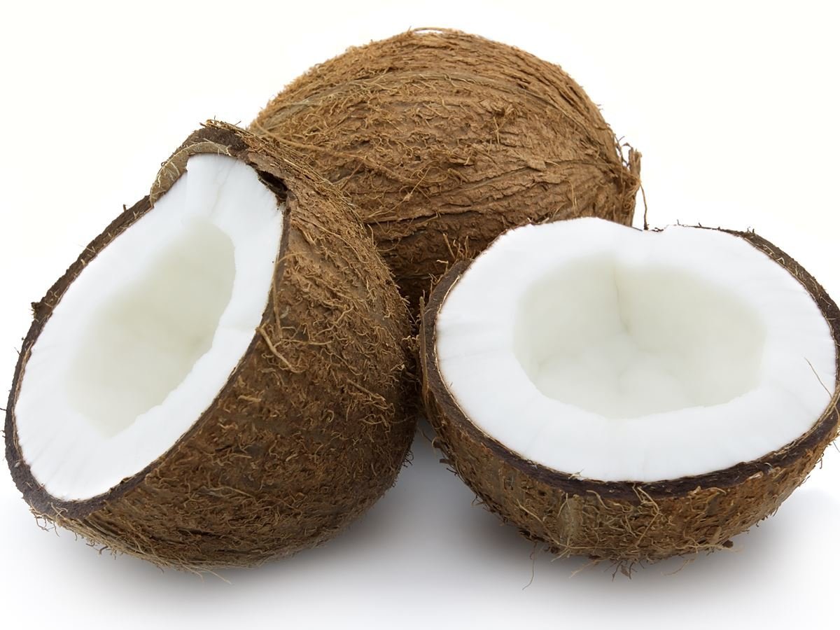 Coconut #4