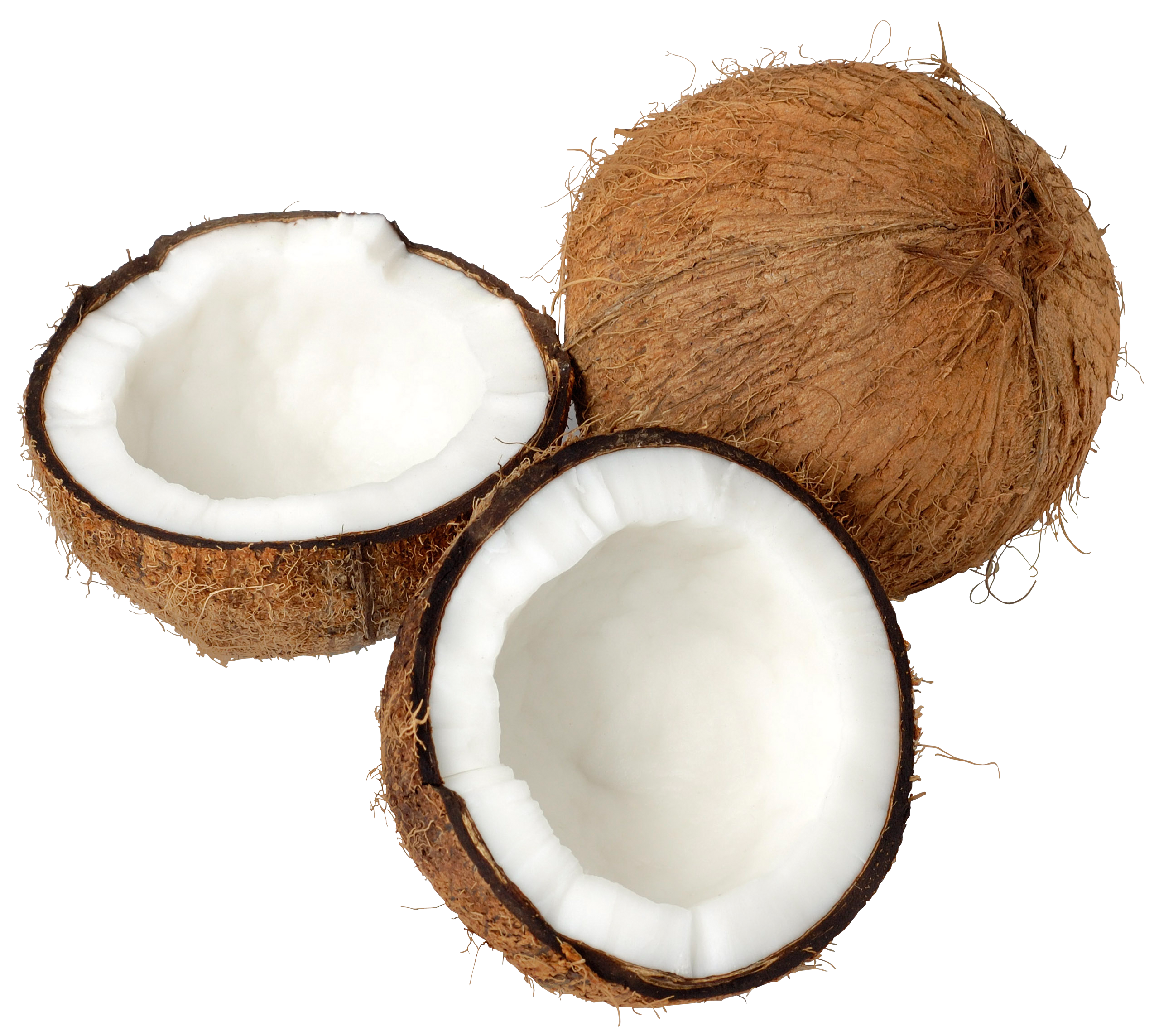 Coconut #6