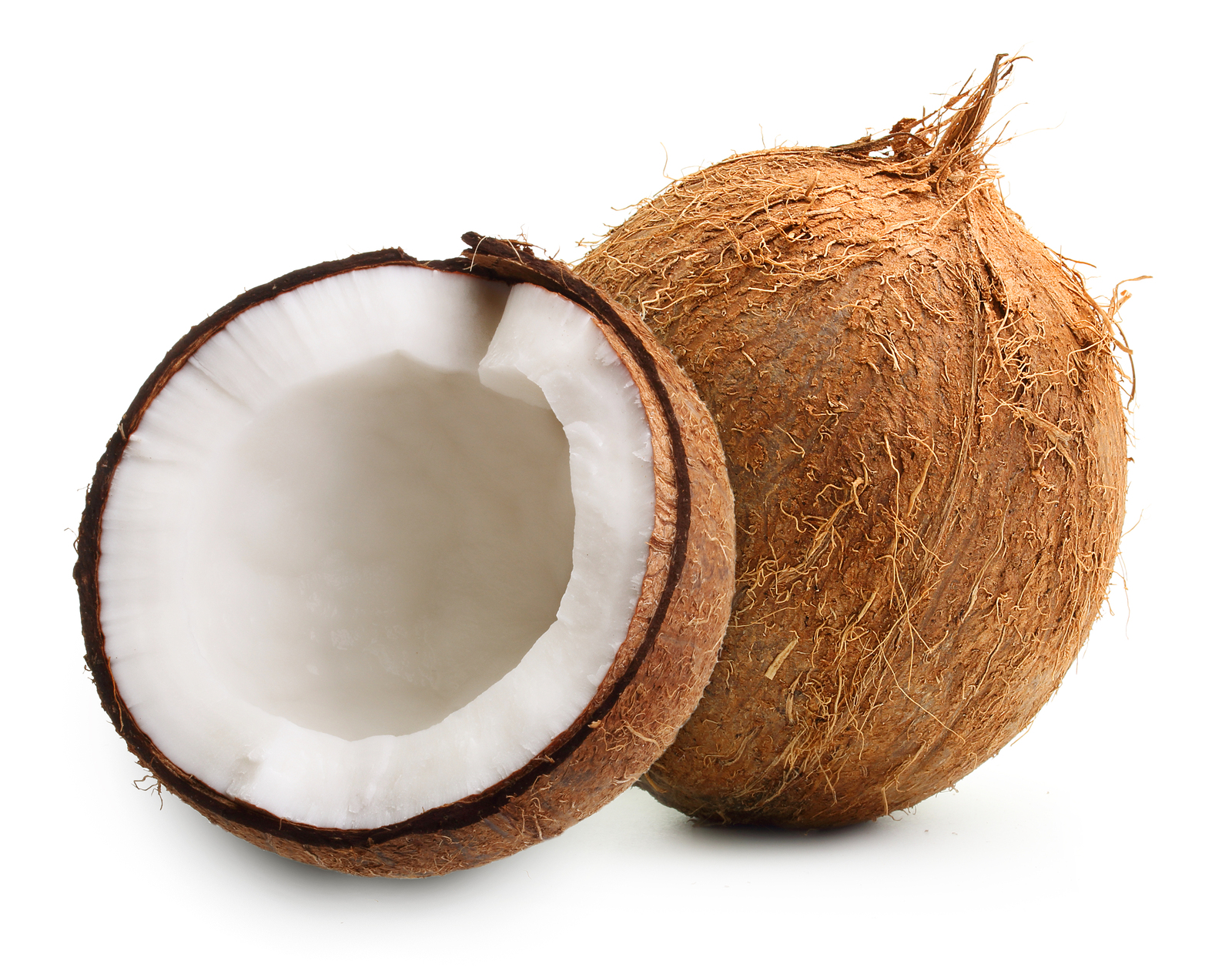Nice Images Collection: Coconut Desktop Wallpapers
