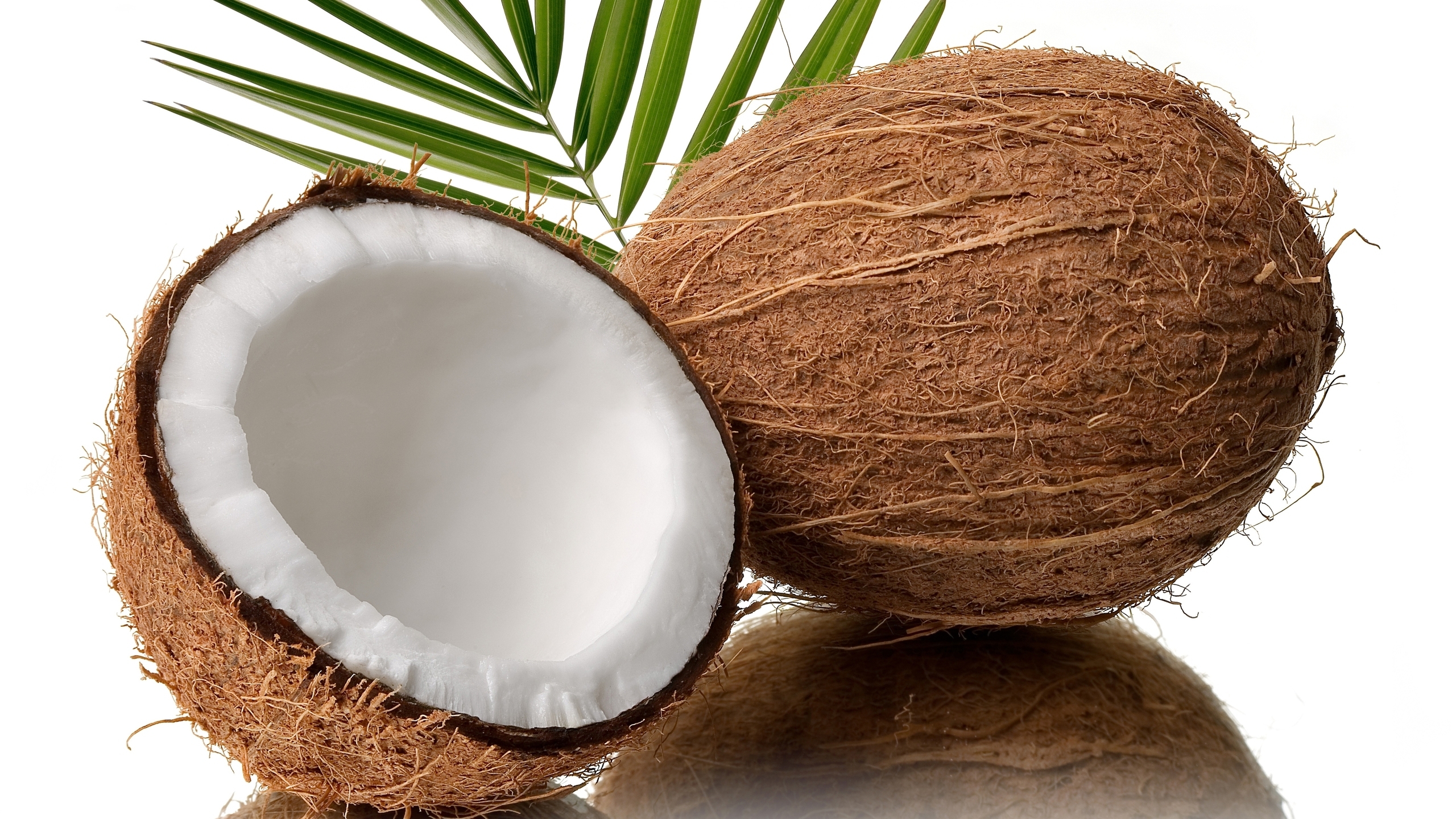 Coconut #5