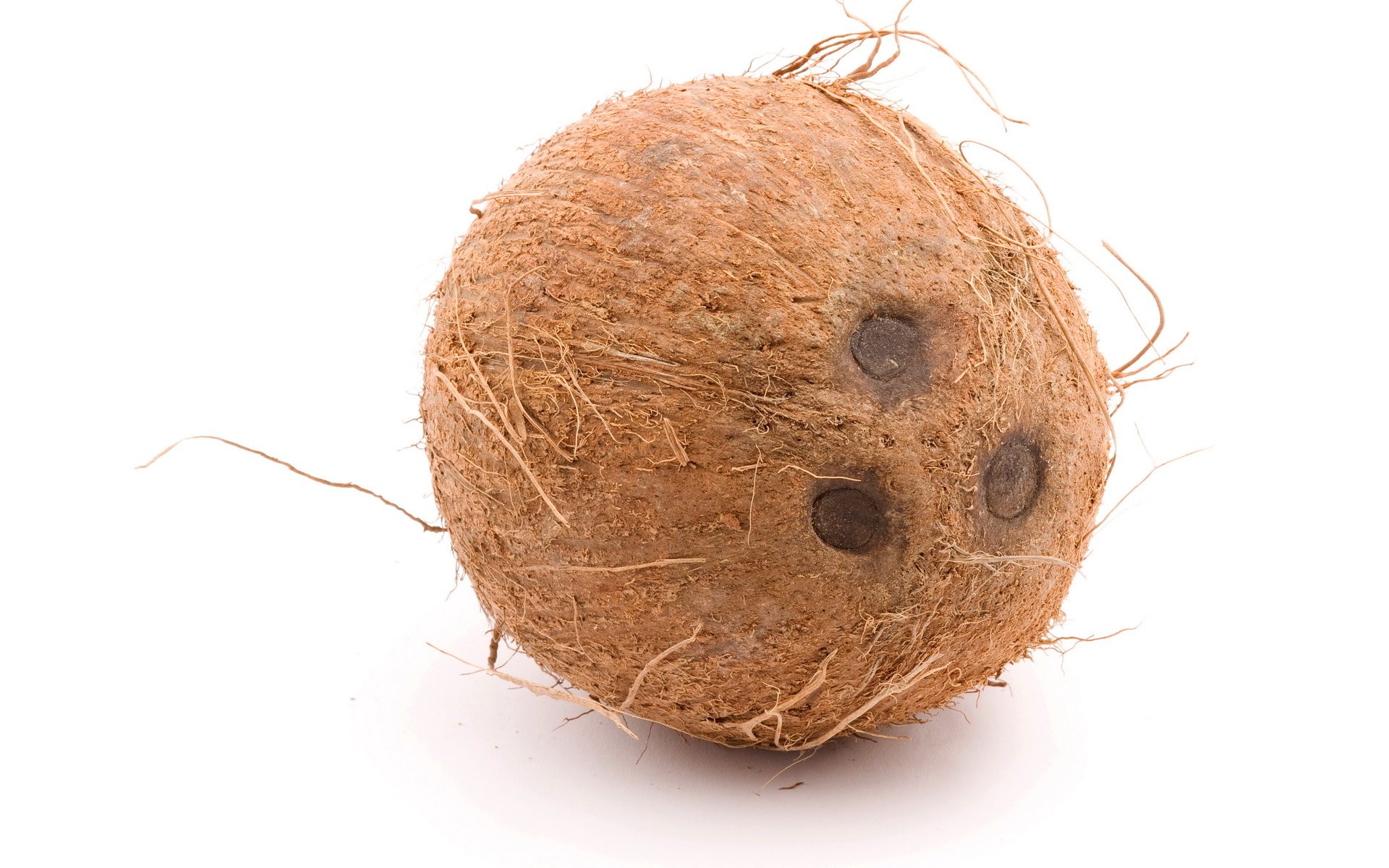Coconut #1