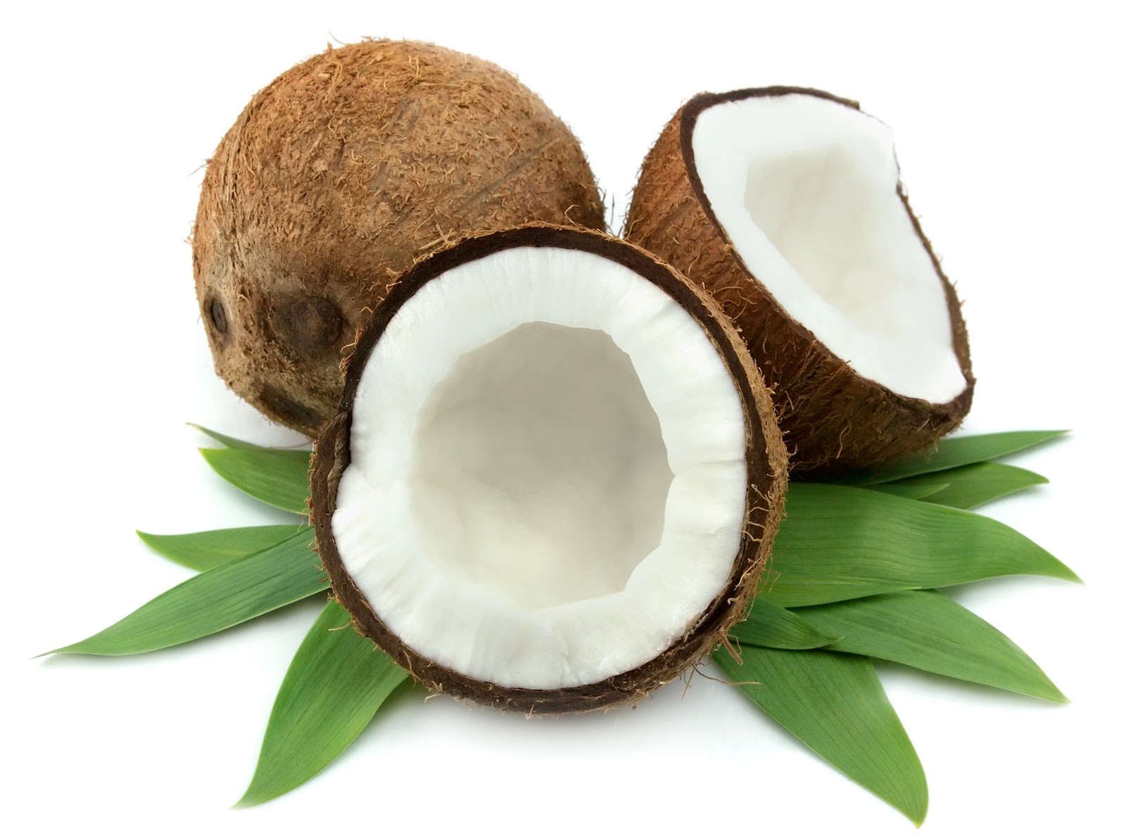 Coconut #2