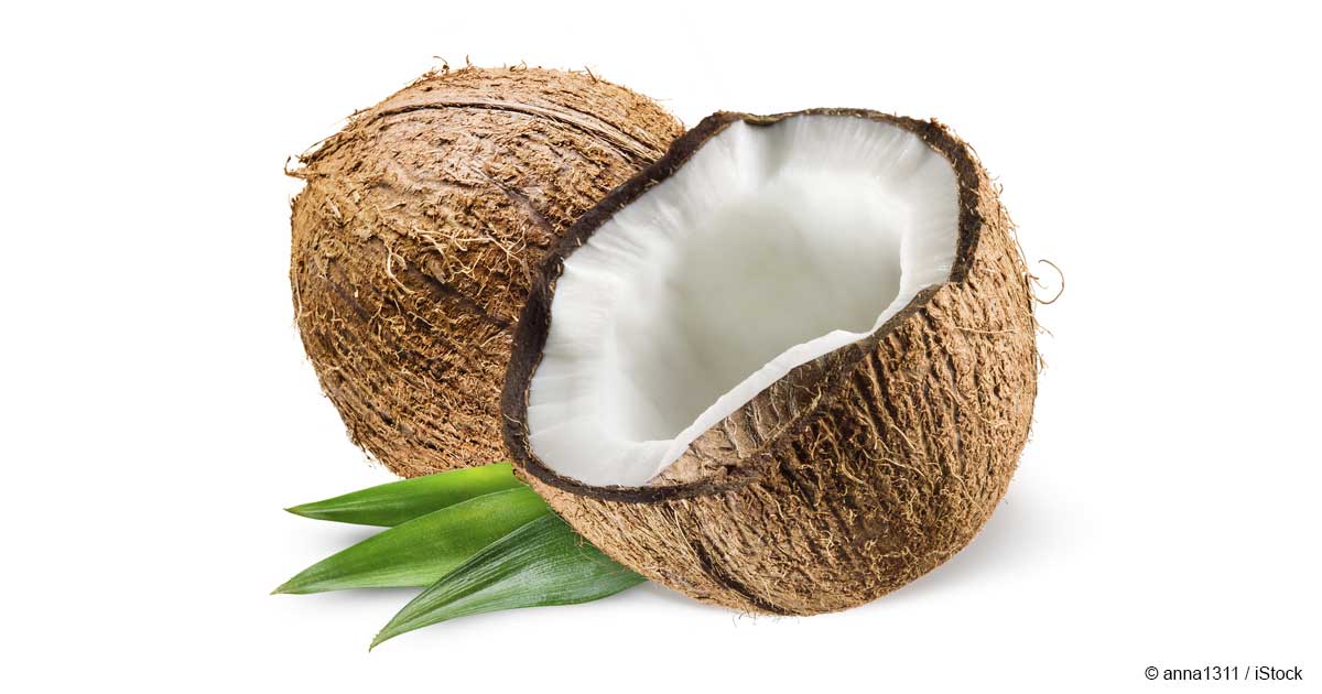 Coconut #16