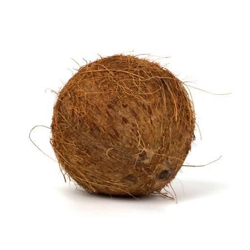 Coconut Pics, Food Collection