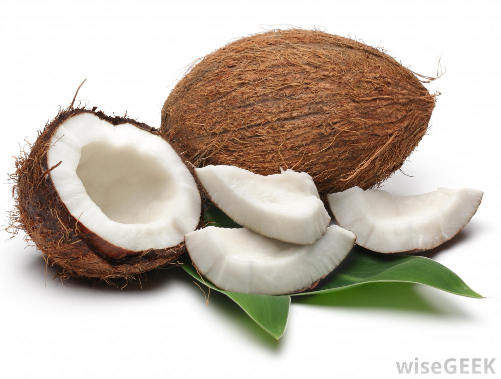 Coconut #18