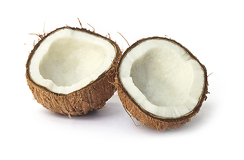 Coconut #14