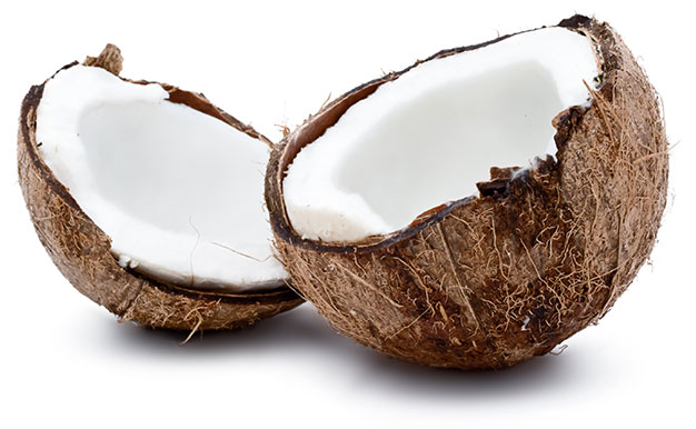 HD Quality Wallpaper | Collection: Food, 626x386 Coconut