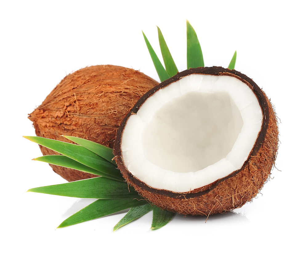 Coconut #20