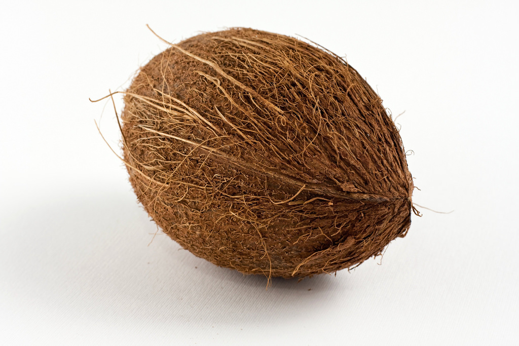 Coconut Pics, Food Collection