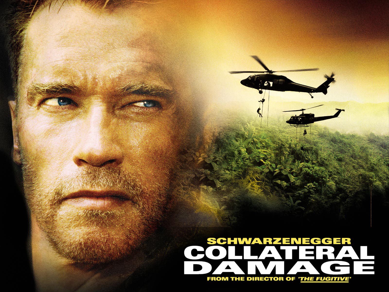 Nice wallpapers Collateral Damage 1600x1200px