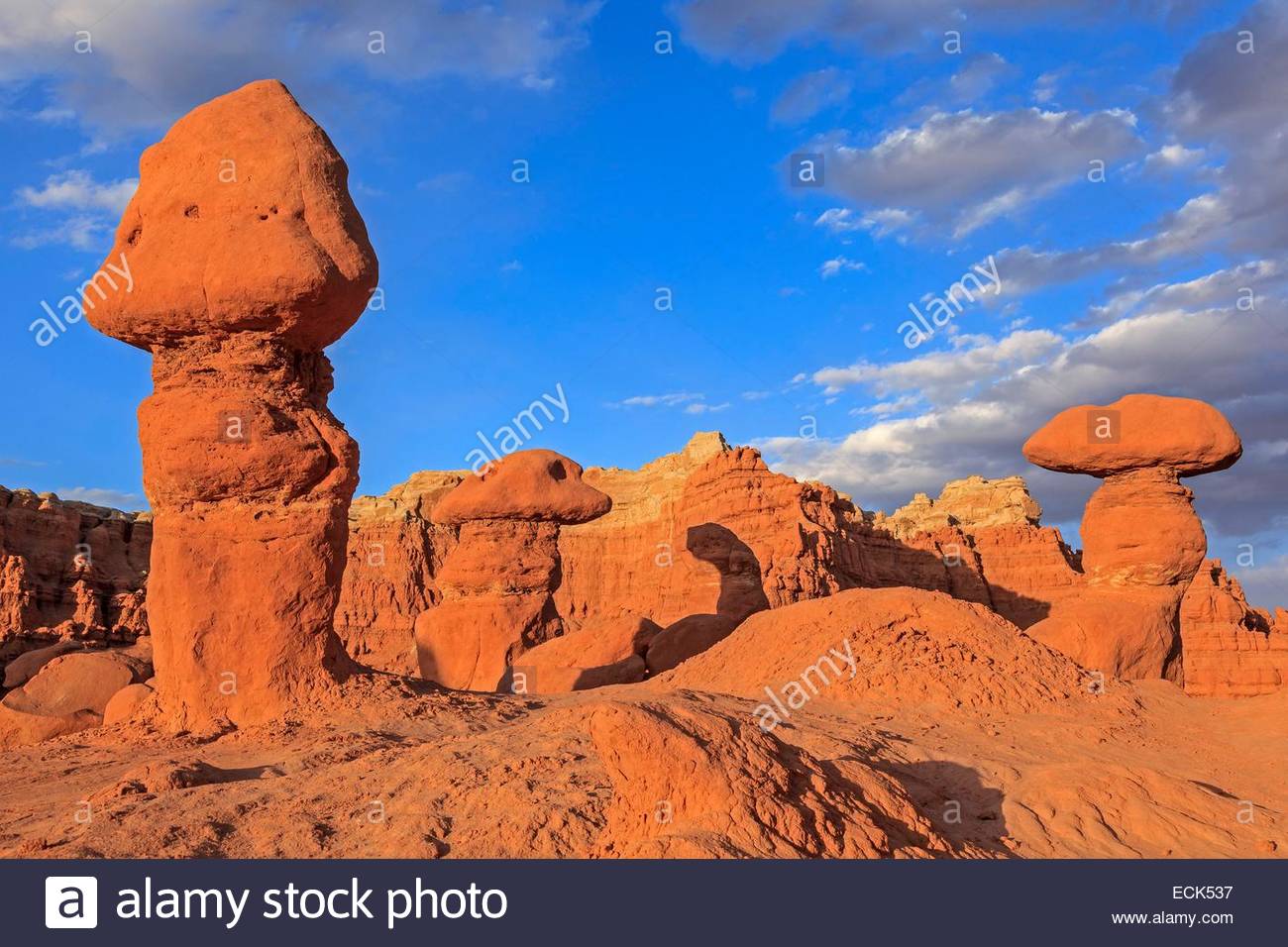 Images of Colorado Plateau | 1300x956