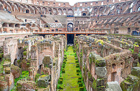 Colosseum #16