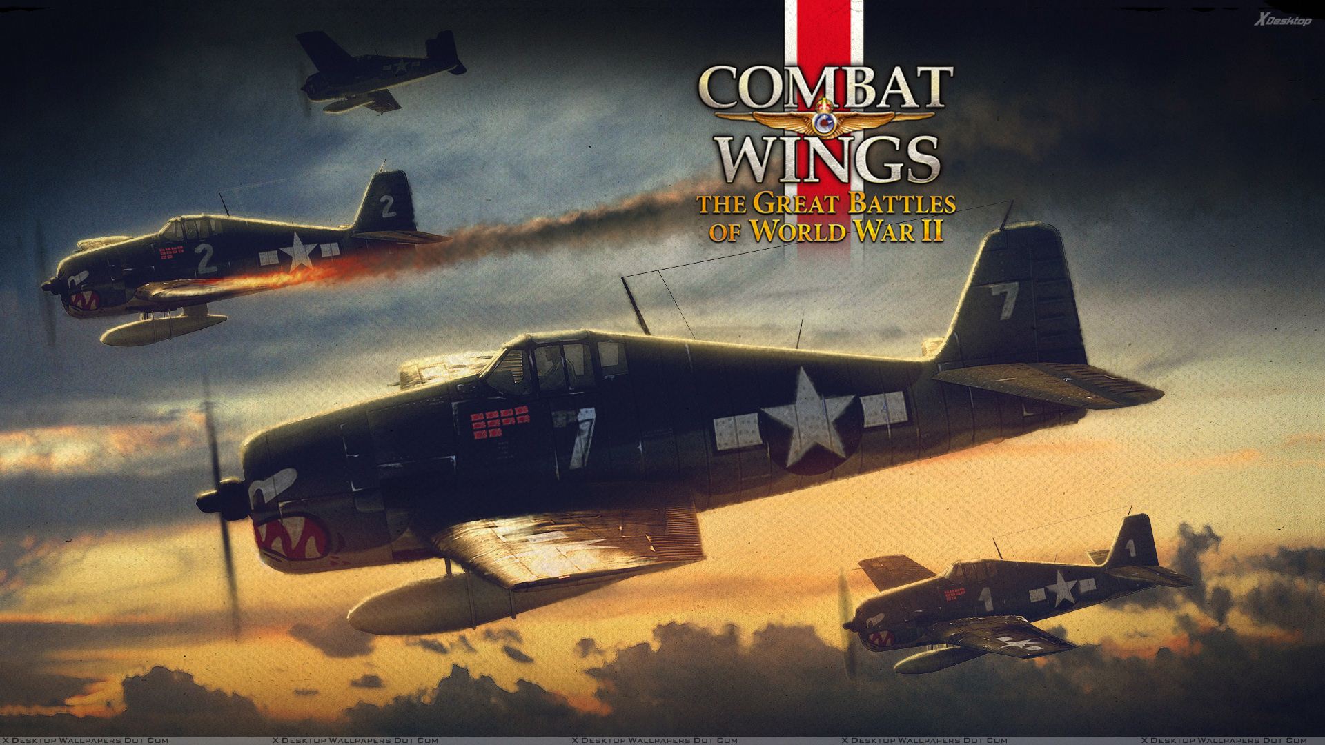 Combat Wings #15