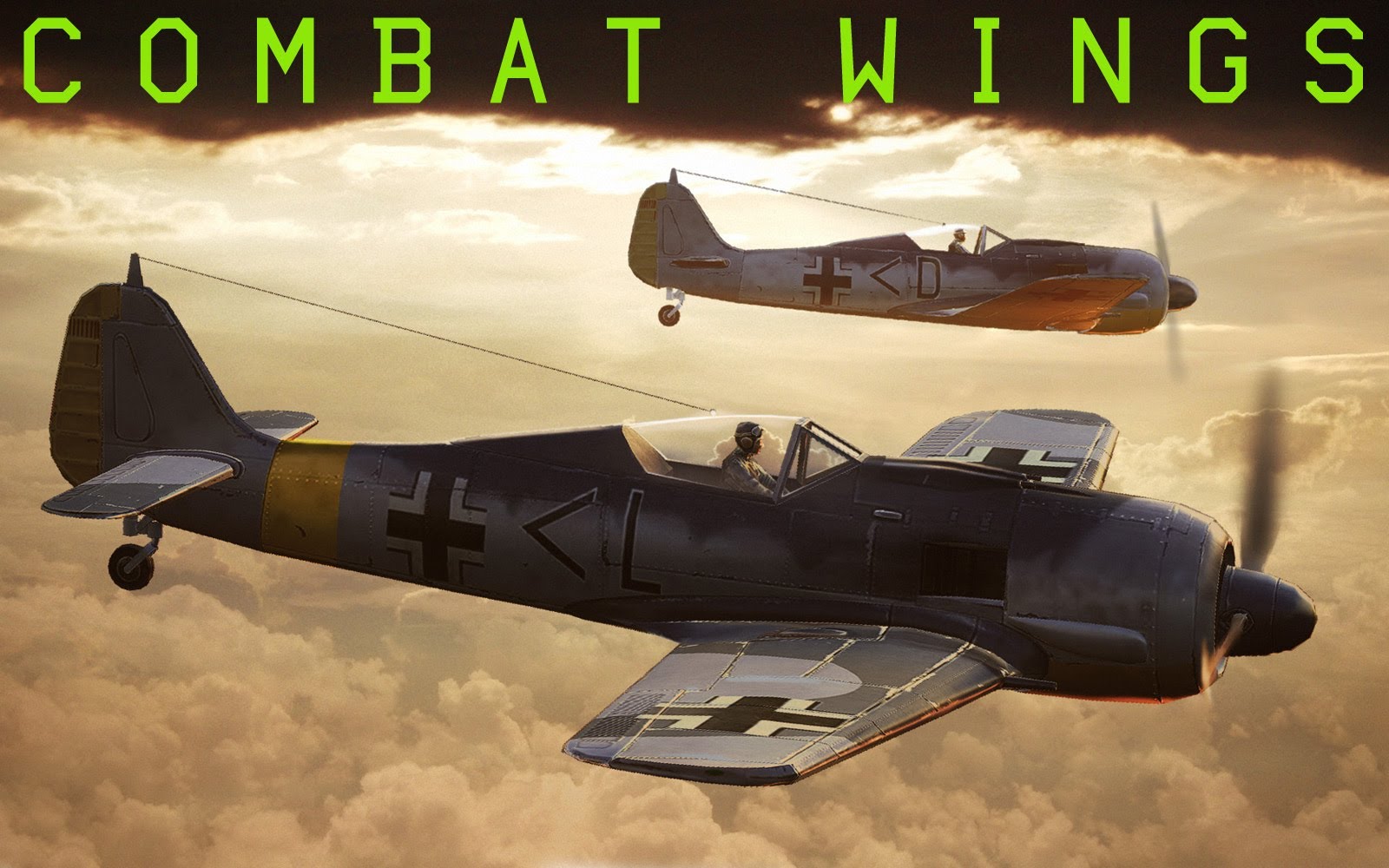 Combat Wings #20