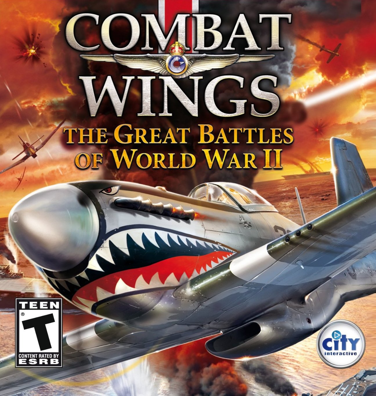 Combat Wings #21