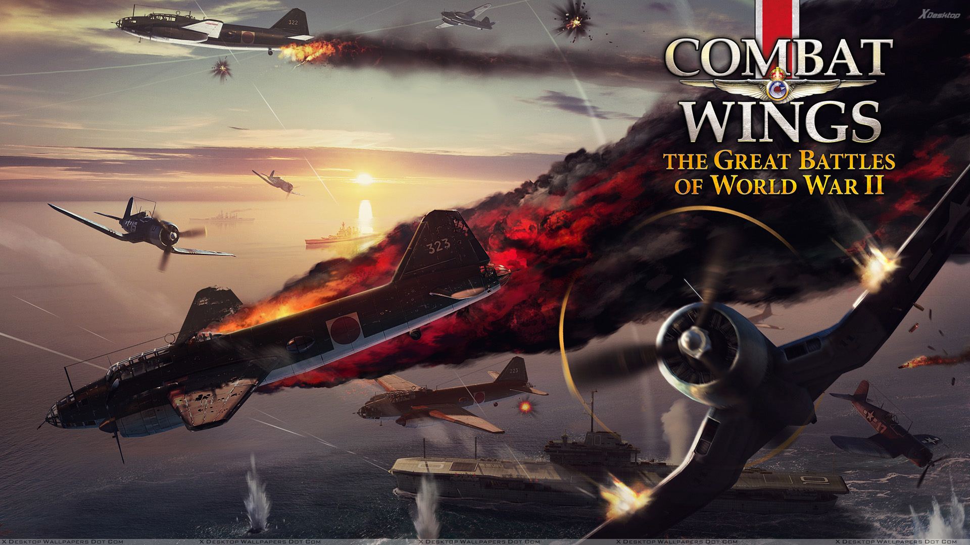 Combat Wings #14