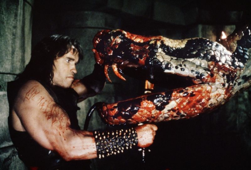 Images of Conan The Barbarian (1982) | 800x542