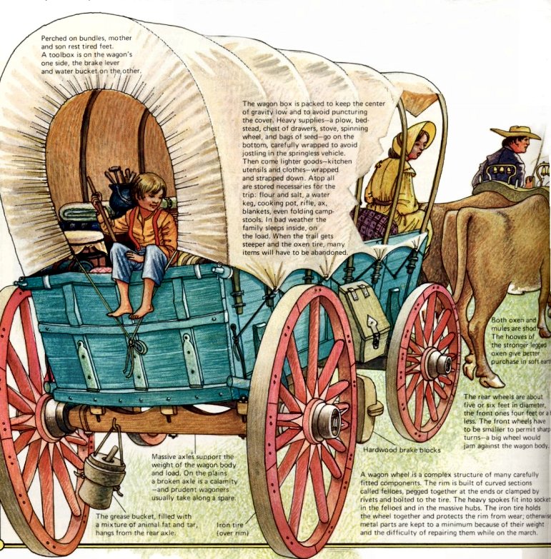 Conestoga Wagon High Quality Background on Wallpapers Vista
