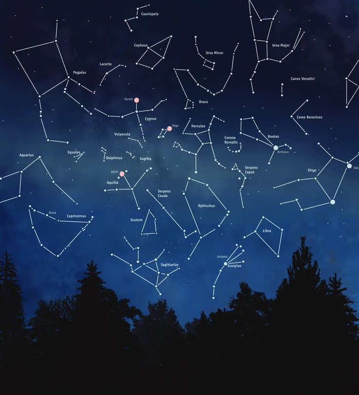 Images of Constellation | 736x809