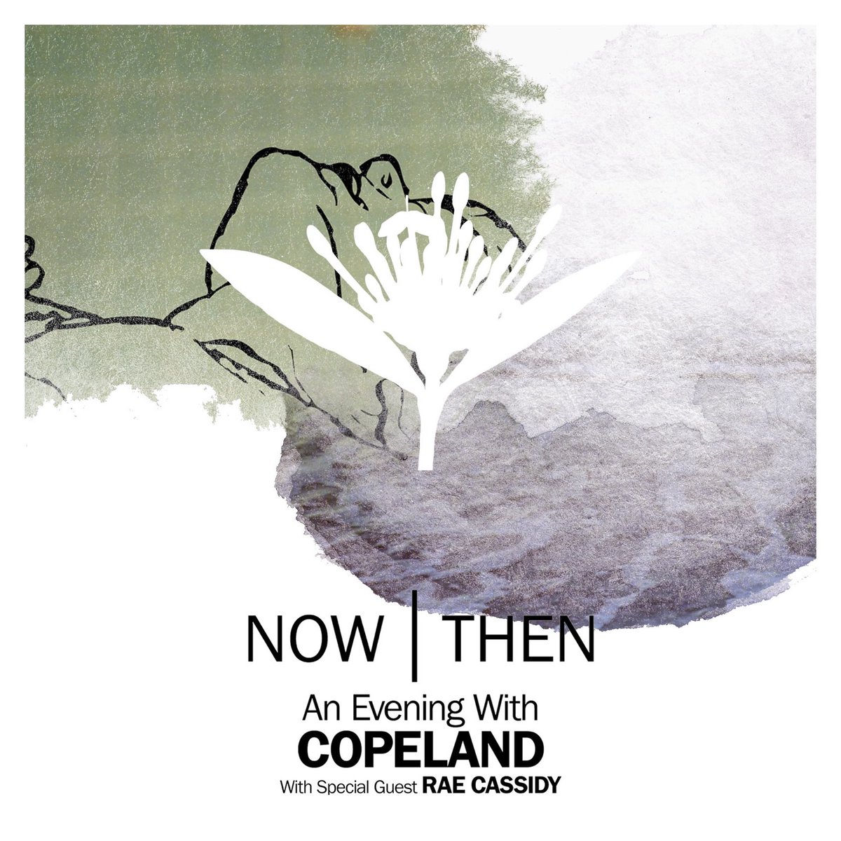 Copeland Backgrounds, Compatible - PC, Mobile, Gadgets| 1200x1200 px