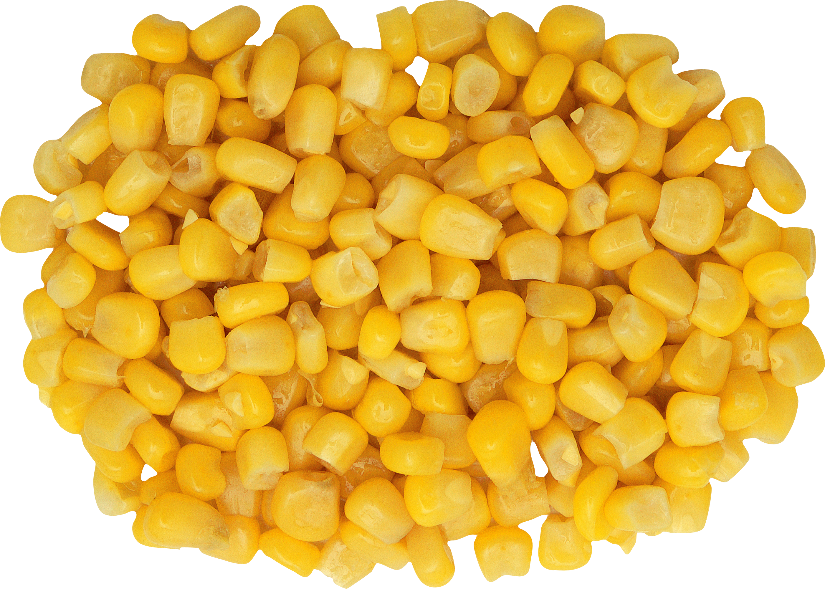 HQ Corn Wallpapers | File 8605.74Kb