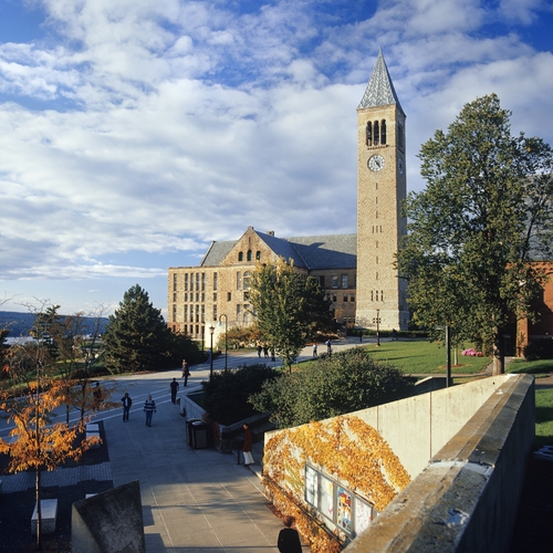Cornell University High Quality Background on Wallpapers Vista