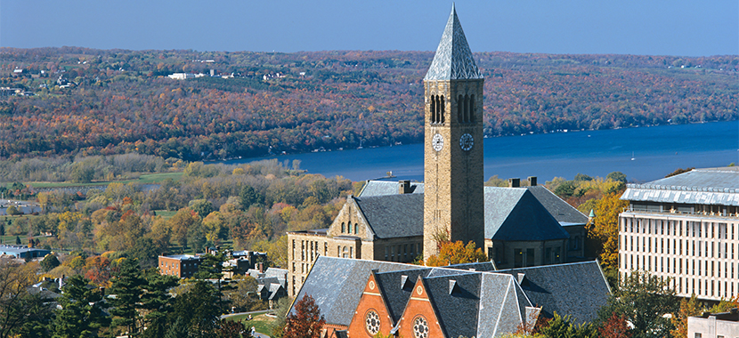 Cornell University #22