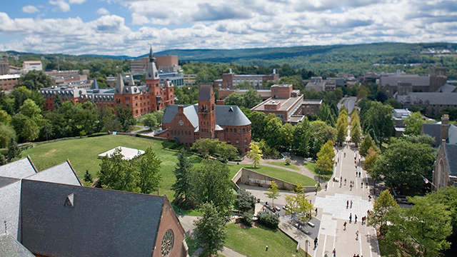 Cornell University #14