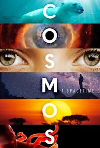 Nice wallpapers Cosmos: A Spacetime Odyssey 206x305px