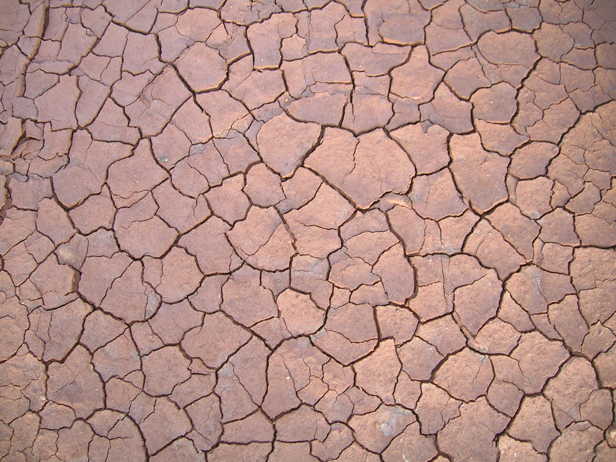 Cracked High Quality Background on Wallpapers Vista