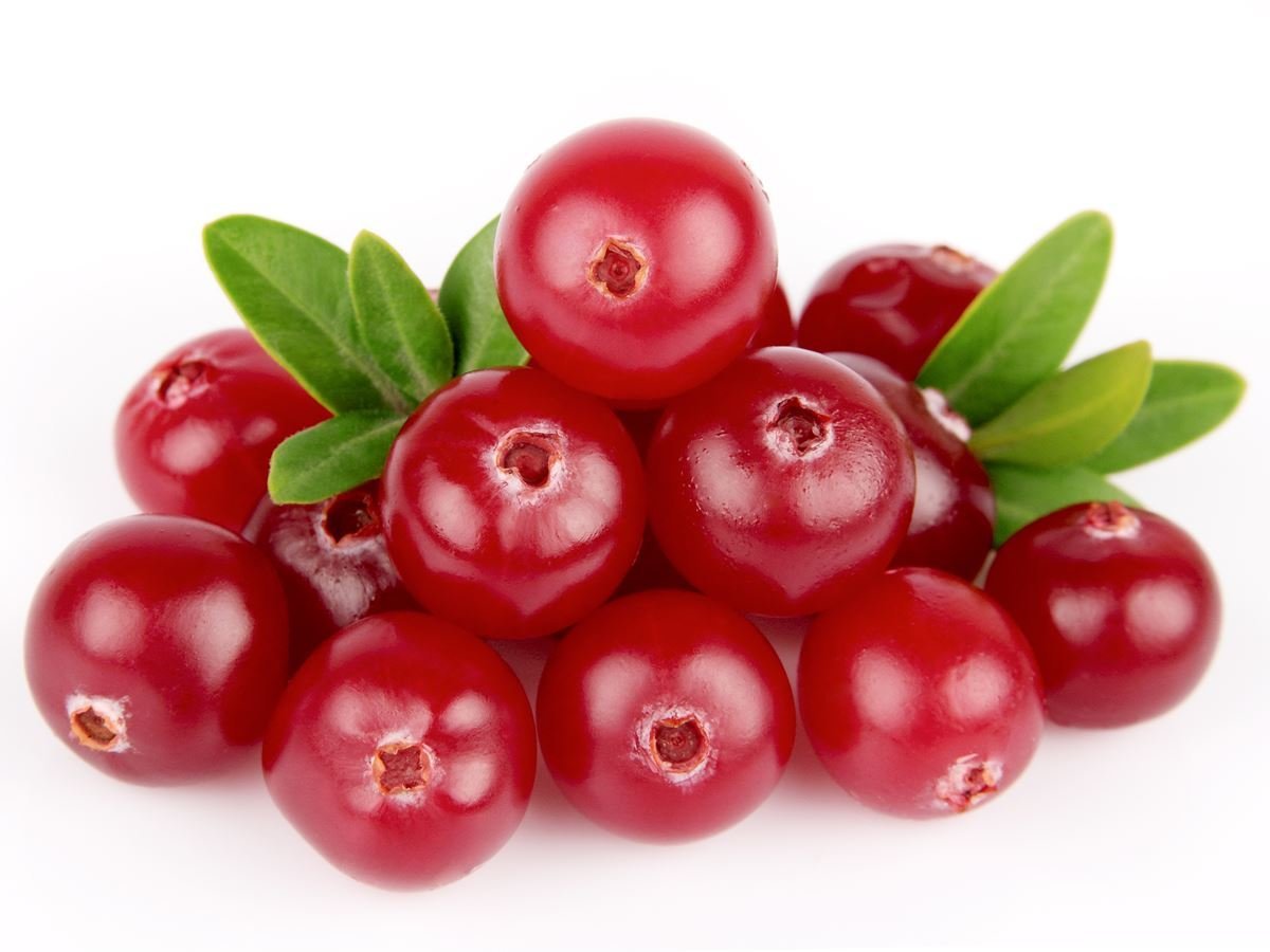 Amazing Cranberry Pictures & Backgrounds