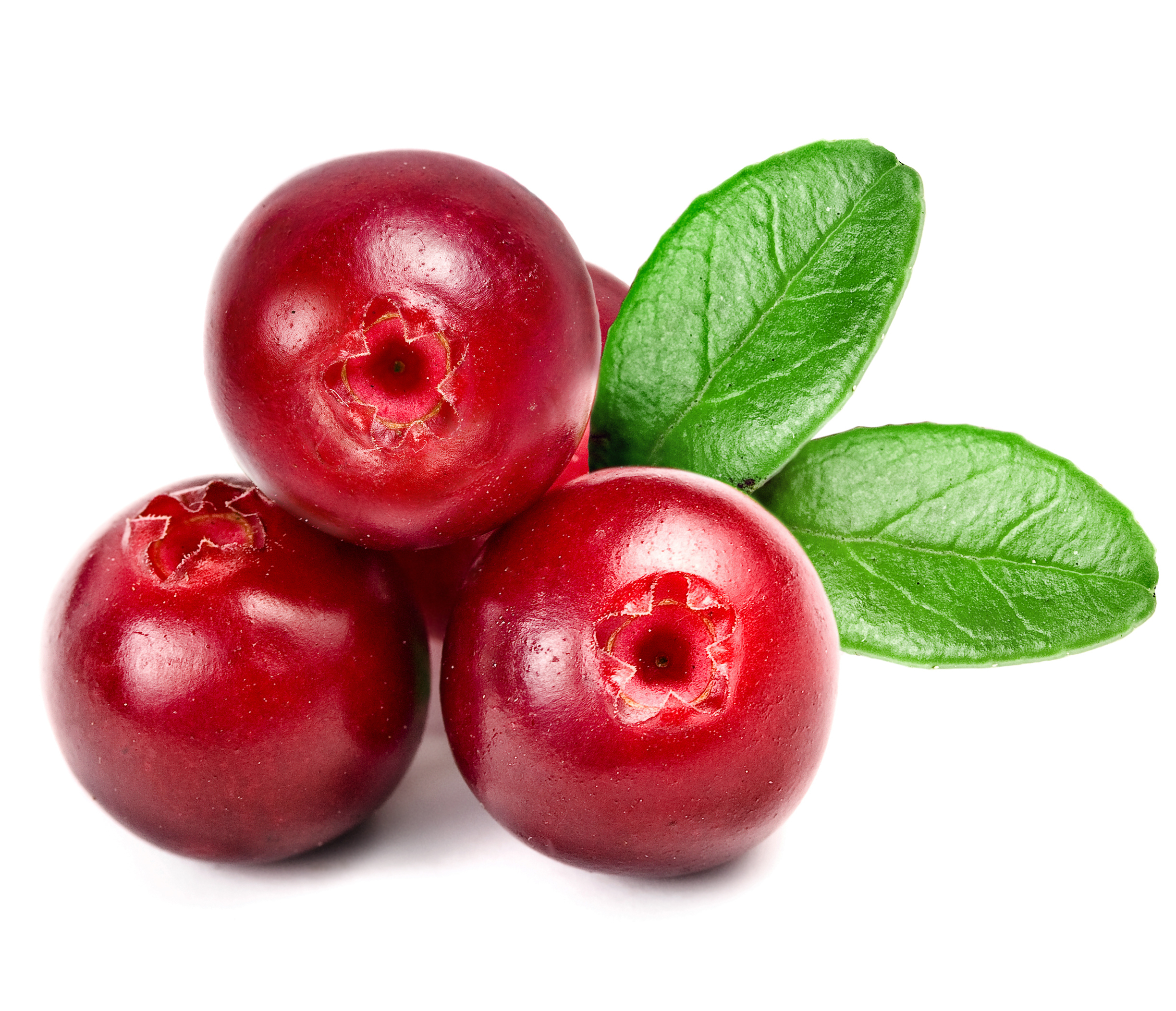 Cranberry Backgrounds on Wallpapers Vista