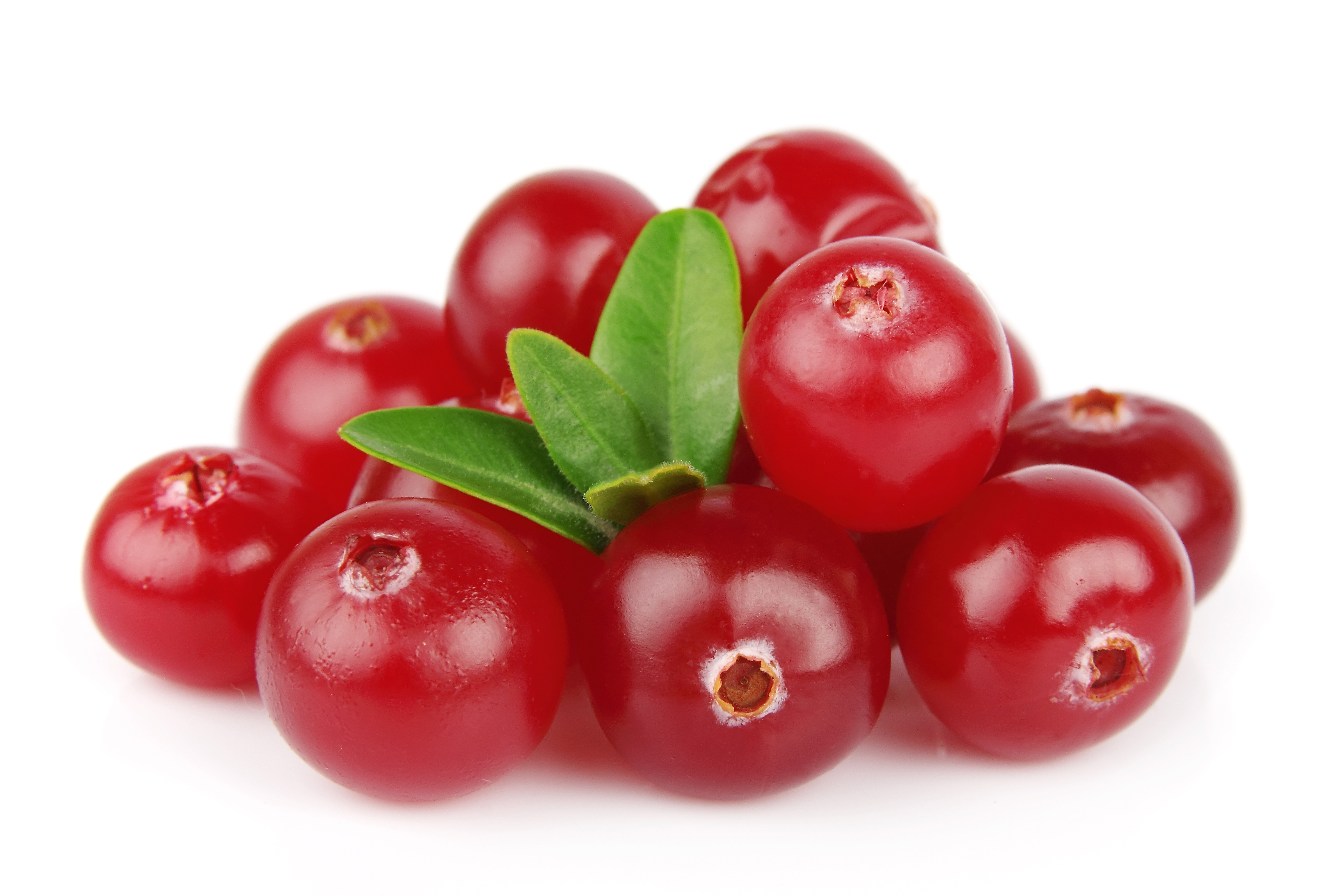 Amazing Cranberry Pictures & Backgrounds