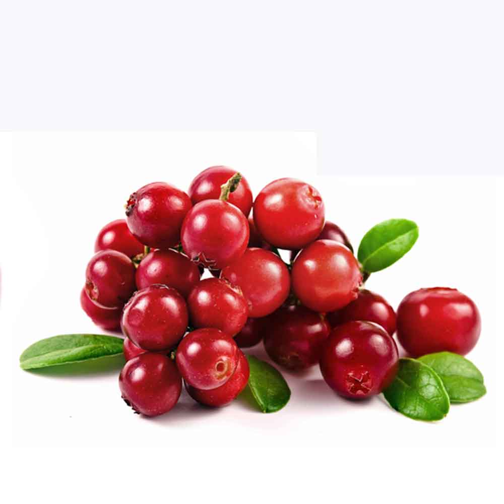 HD Quality Wallpaper | Collection: Food, 1000x1000 Cranberry
