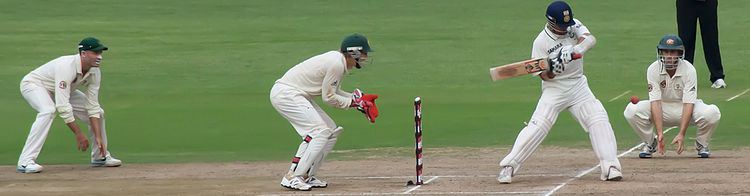 Cricket #11