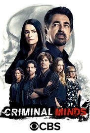 Criminal Minds #13