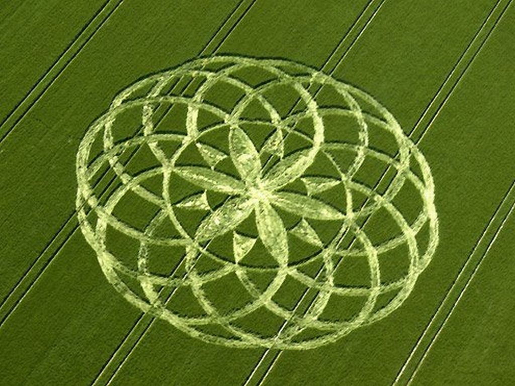 Crop Circles #5