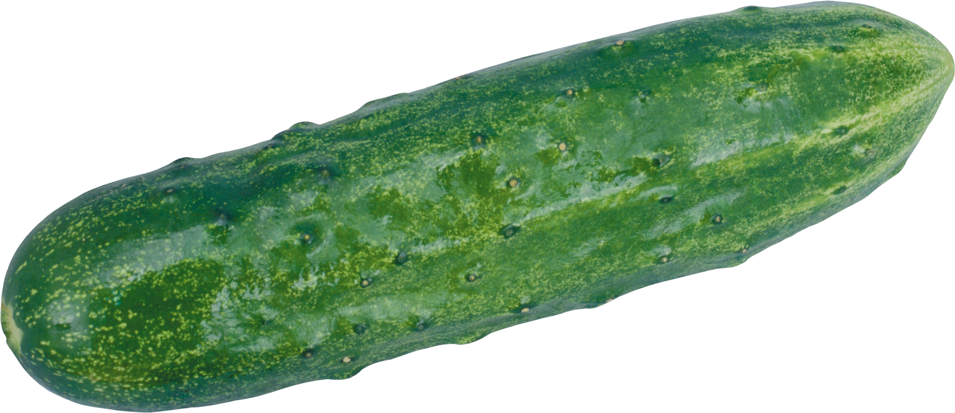 HQ Cucumber Wallpapers | File 5643.27Kb